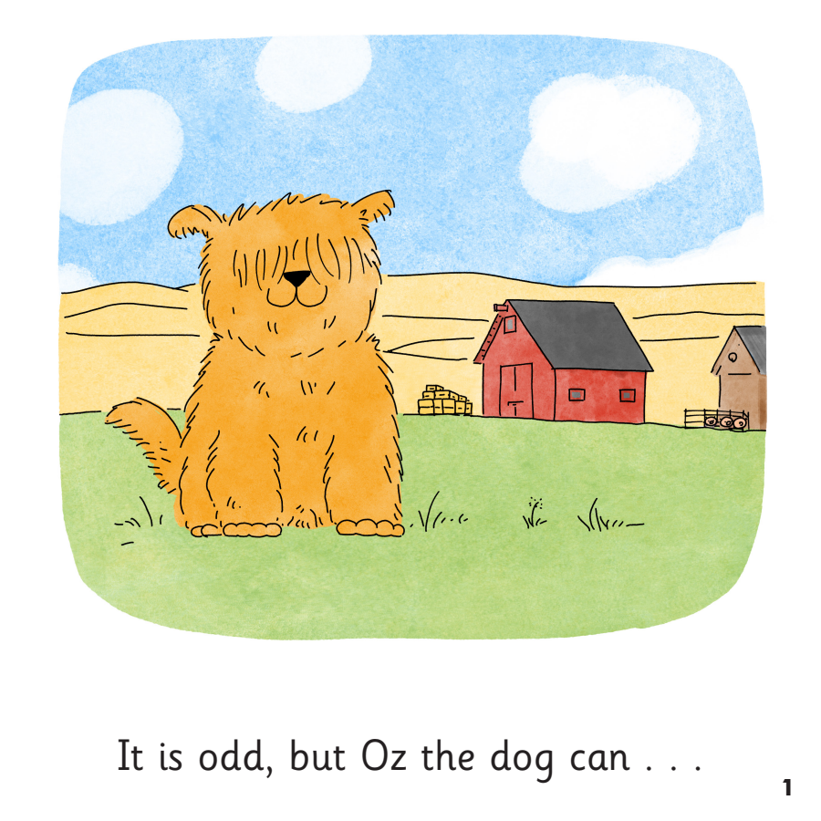 Oz the Odd Dog