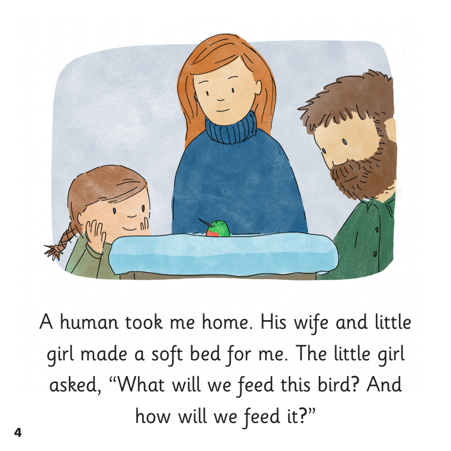 The Hummingbird