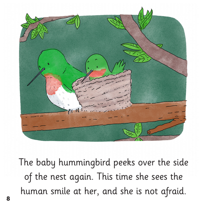 The Hummingbird